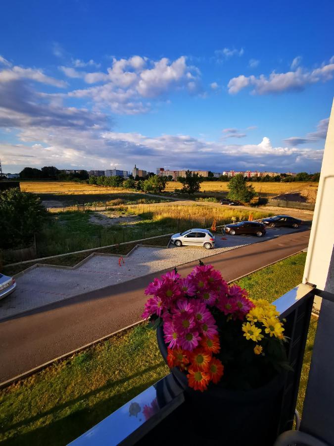 Teo Apartment Brašov Exteriér fotografie